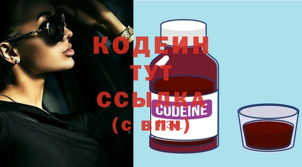 СК Кодинск