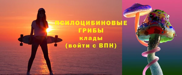 apvp Козловка