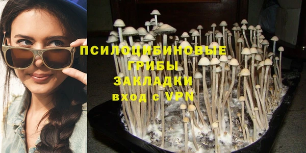 apvp Козловка