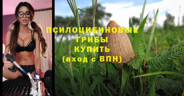 СК Кодинск