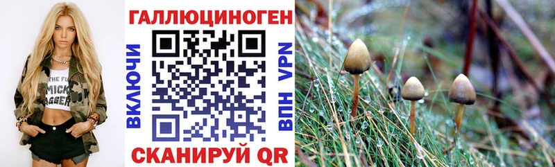 Купить где  Екатеринбург  Псилоцибиновые грибы прущие грибы 